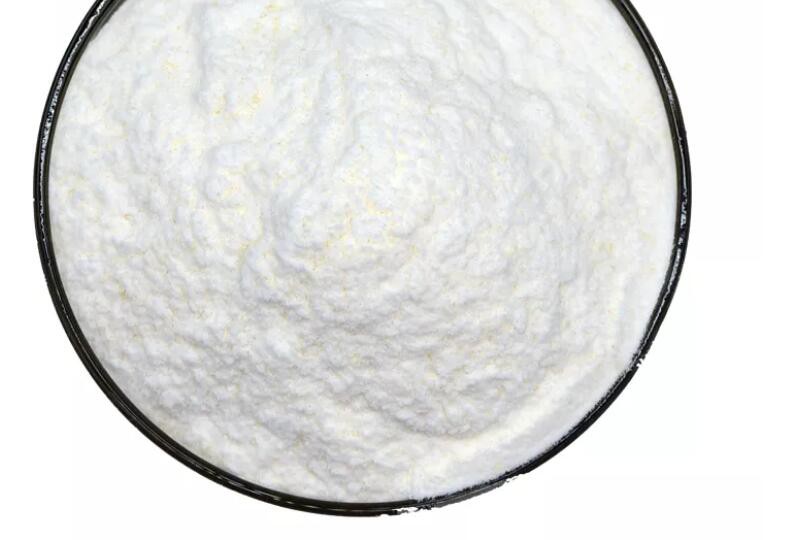 20220215152409f13368e460b94405b231e0319b45d223 비피도박테리움 브레브 프로바이오틱