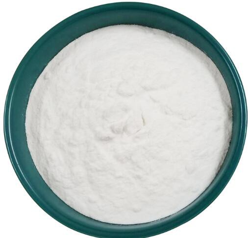 20220215152624250c3c45458e456ab42cc716a1721a34-2 비피도박테리움 브레브 프로바이오틱