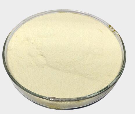 20220222165328b4159cd314324144be012ee632a770cd 20220222165328b4159cd314324144be012ee632a770cd