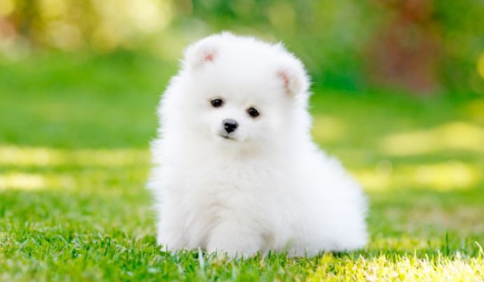 2022031111555840cd354a677547bbb64525c9386cfb42 2022031111555840cd354a677547bbb64525c9386cfb42