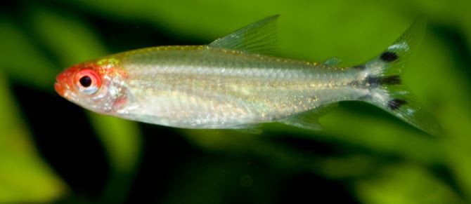 202203231209350df9b6fdff7347a5914d877c0fd16f5a-1 202203231209350df9b6fdff7347a5914d877c0fd16f5a-1