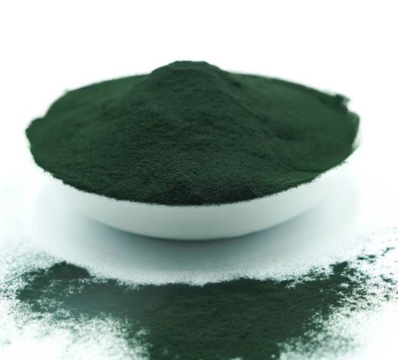 20220323123907219ad9d7ca8d46e18afc1799fd55a73f 20220323123907219ad9d7ca8d46e18afc1799fd55a73f