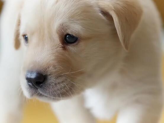 20220407170640a2801c897a9d44639171b15c71091437-5 20220407170640a2801c897a9d44639171b15c71091437-5