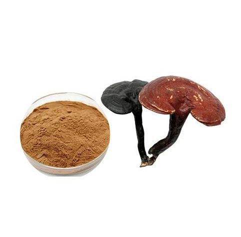 20220408131109734b36bbac8943738e39b0b09ebbfbd6 20220408131109734b36bbac8943738e39b0b09ebbfbd6