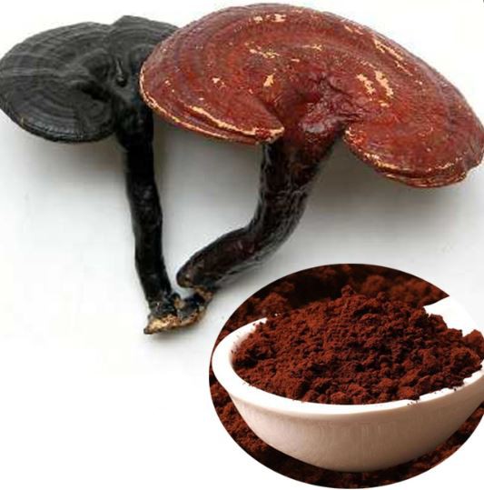 2022040813533000d23116842d4850a5c3e0836770a97d 2022040813533000d23116842d4850a5c3e0836770a97d