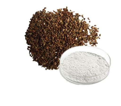 20220411113952fcc97dad011146bfae500a651af3ab7d-1 20220411113952fcc97dad011146bfae500a651af3ab7d-1