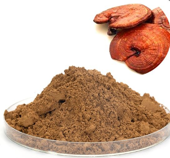 20220411115034003c39f0f2de4bfc91fd5a153ae86c9a 20220411115034003c39f0f2de4bfc91fd5a153ae86c9a