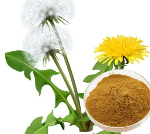 20220513120111967cd280955f46fb9ff163fd934f21d9 20220513120111967cd280955f46fb9ff163fd934f21d9