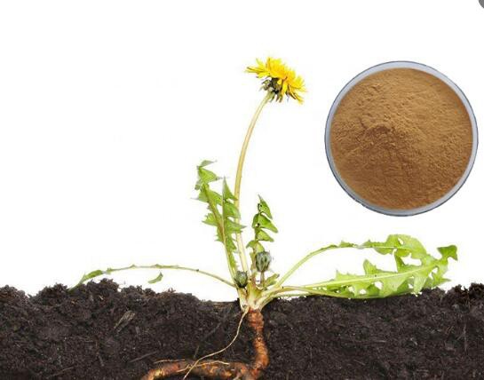 20220513132522c58d1a5ddda449cf85354c4c580e602c 20220513132522c58d1a5ddda449cf85354c4c580e602c