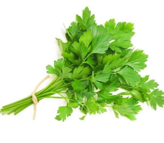 2022052014440256e85667e3994db9a0c57c7b7d2b9e10-1 2022052014440256e85667e3994db9a0c57c7b7d2b9e10-1