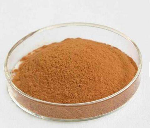 202205251337112187e212fef34a6ca5cf2ecc41ce7559 202205251337112187e212fef34a6ca5cf2ecc41ce7559