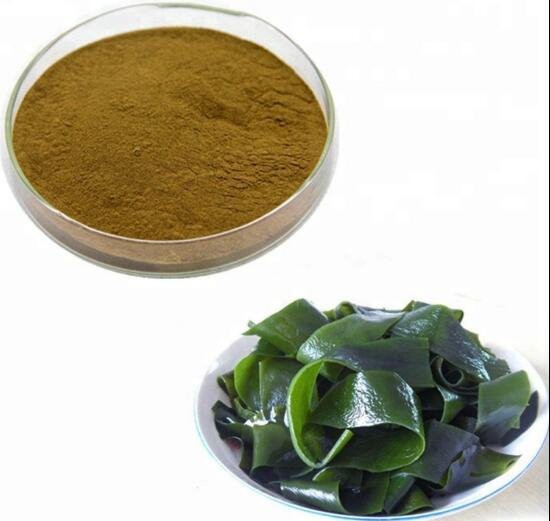 20220711134623eab38c856d1e4edeb8a155071279a185 20220711134623eab38c856d1e4edeb8a155071279a185