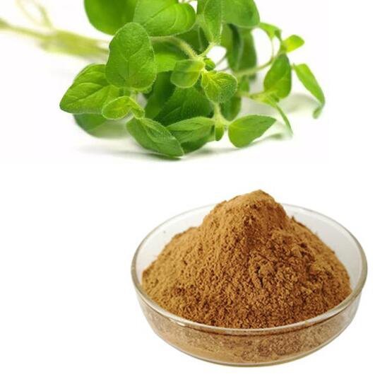 20220719132926b1f9de14459c4b40851ea01d8b9eb0ca 20220719132926b1f9de14459c4b40851ea01d8b9eb0ca