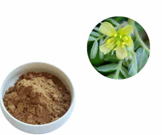 2022072613230059893fc3dddf45c2833b4303a804161c 2022072613230059893fc3dddf45c2833b4303a804161c