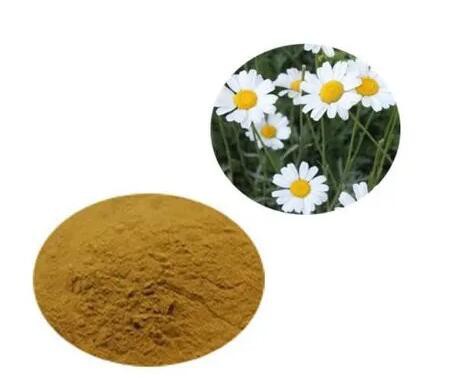 202207281331166ebc4871c46f4e5699cfec3091833bda 202207281331166ebc4871c46f4e5699cfec3091833bda