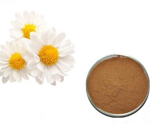 2022072813464829ee634d8ef742bbb956371e5580db92 2022072813464829ee634d8ef742bbb956371e5580db92