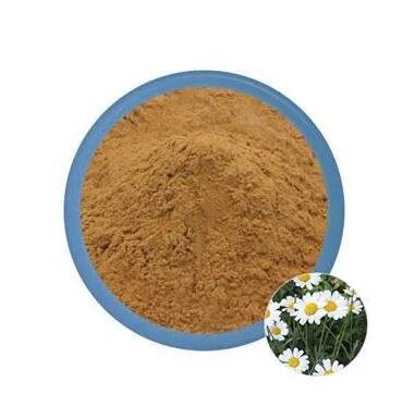 20220729115115a07e5b82c8764538903880771c18b516 20220729115115a07e5b82c8764538903880771c18b516