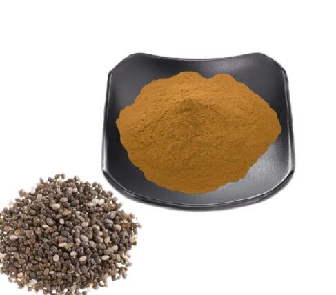 202208111513566c4c67b355644347ba81e6649ce636a8 202208111513566c4c67b355644347ba81e6649ce636a8