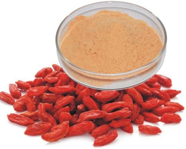 2022081713515552709ee5059a4c71908e8d1ddca4b766-2 2022081713515552709ee5059a4c71908e8d1ddca4b766-2