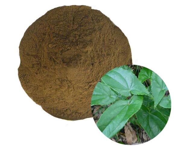 20220824113531689b3f8f1bc74961becfcefbc12e735b 20220824113531689b3f8f1bc74961becfcefbc12e735b