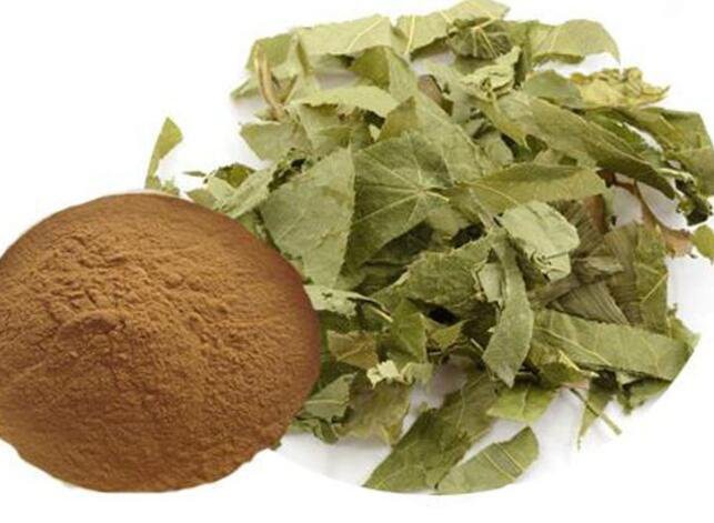 20220824131238322efbf287ec45ce81004d6cdd01500e 20220824131238322efbf287ec45ce81004d6cdd01500e