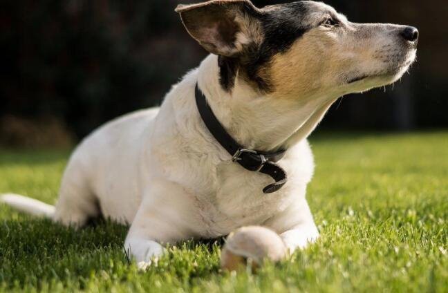 2022082514344443886358d6af45ca8eef96d30bc5949d-4 2022082514344443886358d6af45ca8eef96d30bc5949d-4