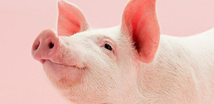 202208301421262e4dd164e16f495f8e4858bdcb4e6353 202208301421262e4dd164e16f495f8e4858bdcb4e6353