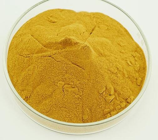 20220913114533b344e66783e445c8b8a9f86cc2d9d5cb 20220913114533b344e66783e445c8b8a9f86cc2d9d5cb