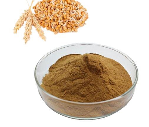 20220913134338a768b705269e436ba7cc00bcbfd10f44 20220913134338a768b705269e436ba7cc00bcbfd10f44