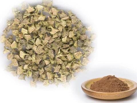 2022102514090287b0071968b84762963a0e3a1ac1dfa2 2022102514090287b0071968b84762963a0e3a1ac1dfa2