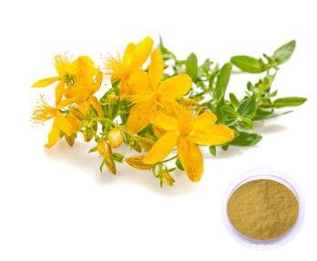 20221107154220d9fa1f0db4814d84977c5bf3012e7d43 20221107154220d9fa1f0db4814d84977c5bf3012e7d43