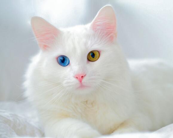 20221114152851c506945f2ff64cb8baf17b299053d29d-1 20221114152851c506945f2ff64cb8baf17b299053d29d-1