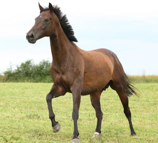 202211181121070c26e31a744a4b2988d418c0f27d5b17 202211181121070c26e31a744a4b2988d418c0f27d5b17