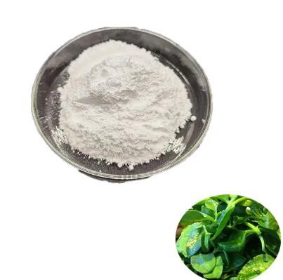 202302131612427cc51afd68244780a90cf2291b81e208 202302131612427cc51afd68244780a90cf2291b81e208