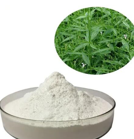 20230213161312d93c8672c0b1445ea50a3dfc7956993d 20230213161312d93c8672c0b1445ea50a3dfc7956993d