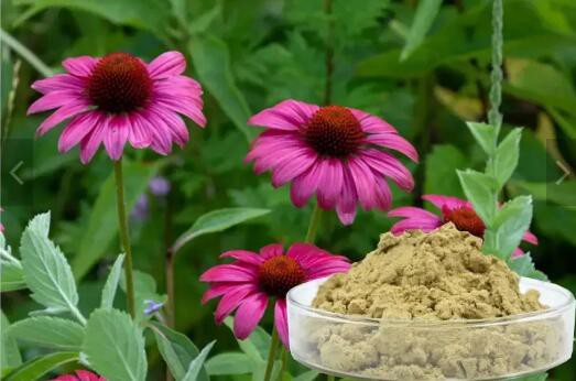 202302171040458cdbb3e31542474c8954c7674d7aab20 202302171040458cdbb3e31542474c8954c7674d7aab20