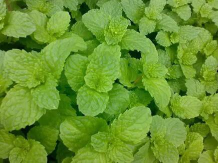 20230302135034bfbcf55197bb4755b9a93ceb818b953a-1 20230302135034bfbcf55197bb4755b9a93ceb818b953a-1