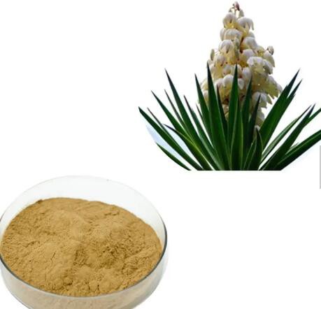 20230306140953236db7cb72f64da98120ded55ce6bccb 20230306140953236db7cb72f64da98120ded55ce6bccb