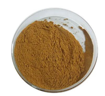 202303071710461fbefb5973334ded9b3c525686bd944f 202303071710461fbefb5973334ded9b3c525686bd944f