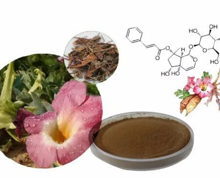 20230307171101fa8f5814067c43019781a003af421a3e 20230307171101fa8f5814067c43019781a003af421a3e