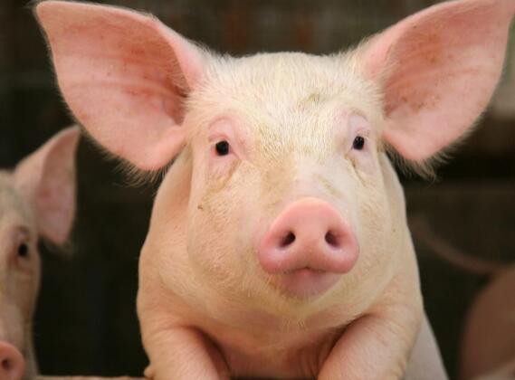 20230322162004d7e80c82192944369e6cd87efc6e5faf-1 20230322162004d7e80c82192944369e6cd87efc6e5faf-1