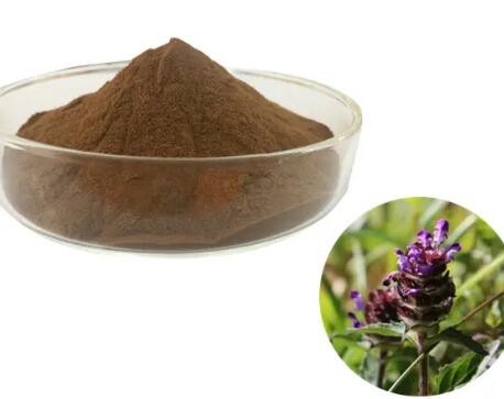 202304121554002fff79b1911846b6bf9e642363119ca3 202304121554002fff79b1911846b6bf9e642363119ca3