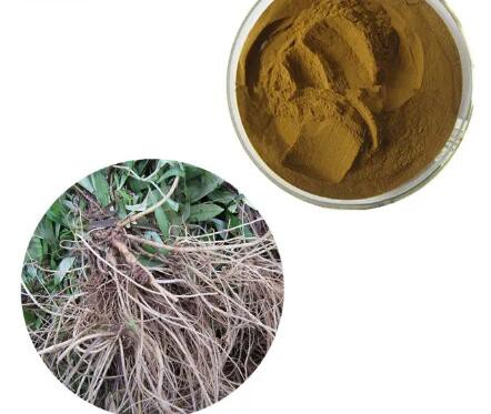 202304131308012baebd5cf54c4783a6adc0c4e6d4ca66 202304131308012baebd5cf54c4783a6adc0c4e6d4ca66