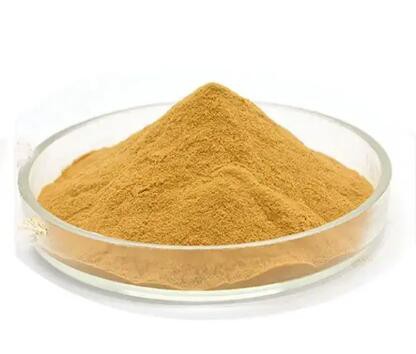 202304271426274492798535fd4b56818e44454832b83a 202304271426274492798535fd4b56818e44454832b83a