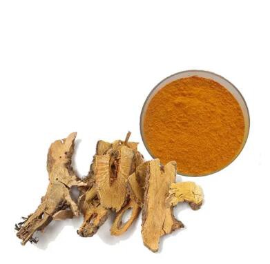 202305061539378d0320554082428fa3690c829e77120b 202305061539378d0320554082428fa3690c829e77120b