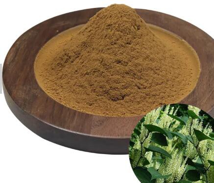 2023050616240893189a571a0d40929675f9ef2424e687 2023050616240893189a571a0d40929675f9ef2424e687