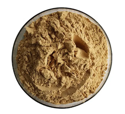 20230519114220686e5bc2715d42c694ca4490b197c814 20230519114220686e5bc2715d42c694ca4490b197c814