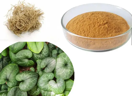 202305251342450796d2891d4d47c293f169a3c7ac755c 202305251342450796d2891d4d47c293f169a3c7ac755c