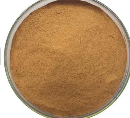 202306091330032096b7d4cb5a4ca7855292281fd1a228 202306091330032096b7d4cb5a4ca7855292281fd1a228