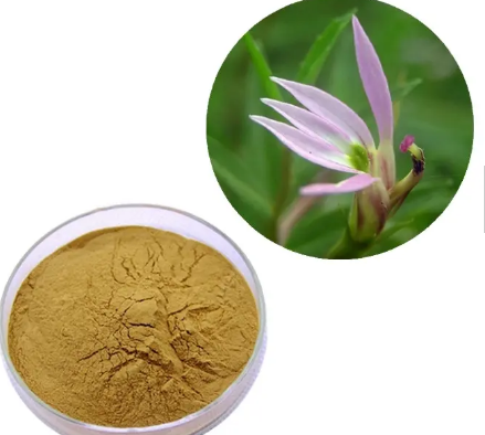 202306121449591e33e1a6b9354466b2671f559ba7b475